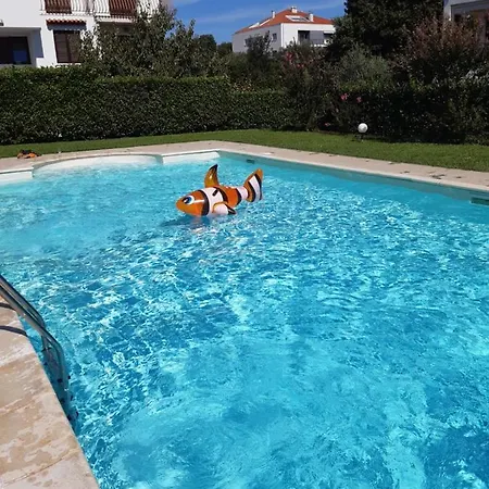 Appt Casa Kokka